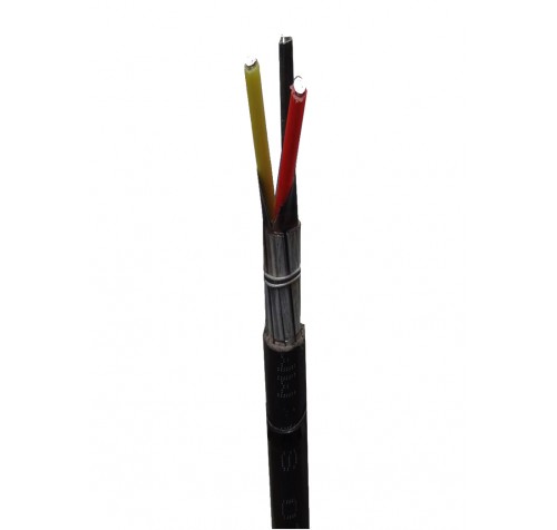 3C X 6.00 SQ.MM ALUMINIUM ARMOURED CABLE-POLYCAB